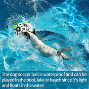 Interactive Dog Football - Soccer Ball Training Toy for Large Dogs