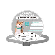 Glow in dark dog collar in gray with anti-insect protection feature