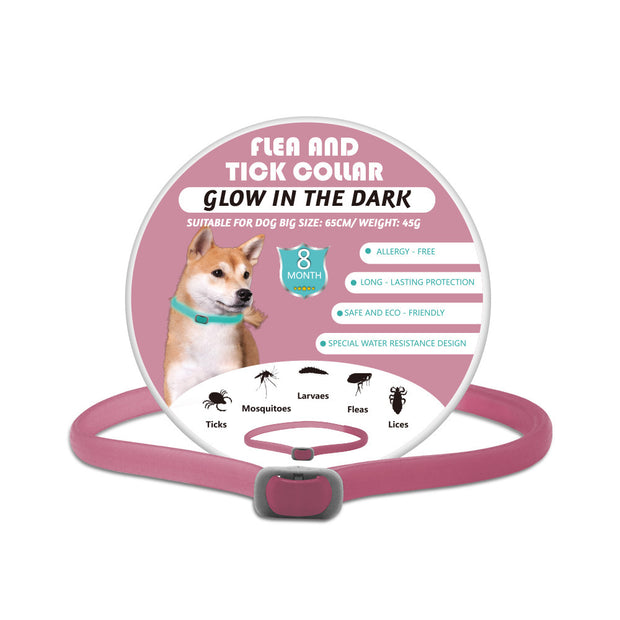 Pink luminous pet collar with insect repellent for night safety

