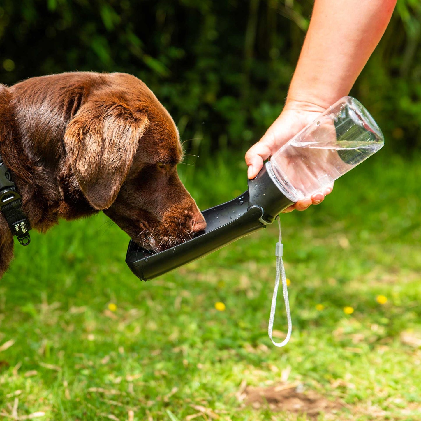Portable Dog Water Bottle - Foldable Travel Hydration Dispenser 350-550ml