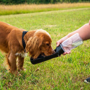 Portable Dog Water Bottle - Foldable Travel Hydration Dispenser 350-550ml